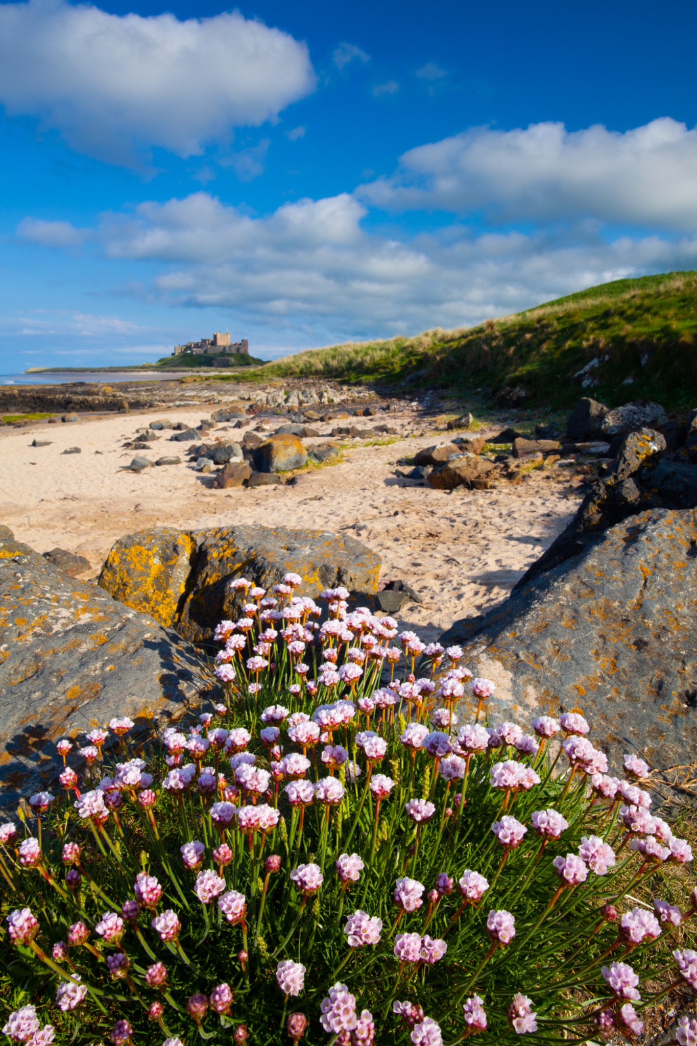 England, Northumberland, Bamburgh.